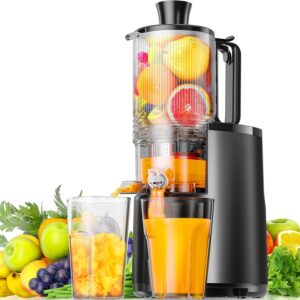 Juicer